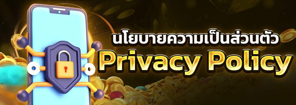 นโยบายความเป็นส่วนตัว