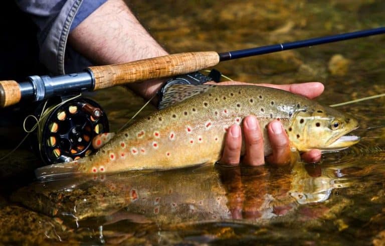 Fishing techniques showing proper casting and lure movement
