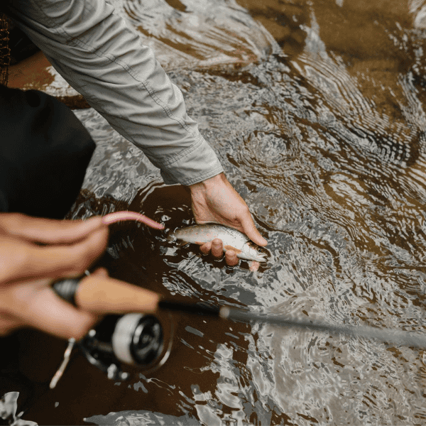 Sustainable fishing articles